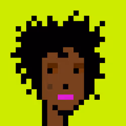 Punk #8684