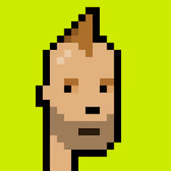 Punk #541