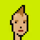 Punk #529