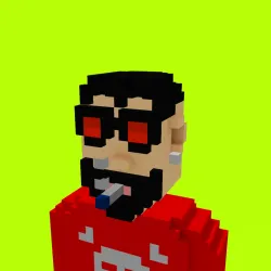Voxel HoodPunks #554