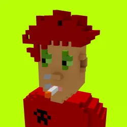 Voxel HoodPunks #880