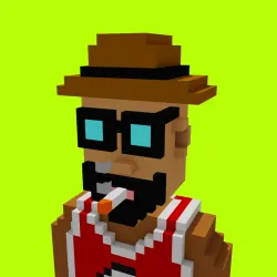 Voxel HoodPunks #955