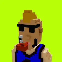 Voxel HoodPunks #913