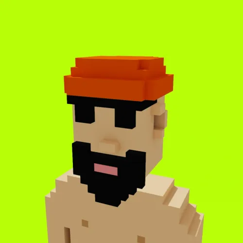 Voxel HoodPunks #81