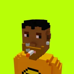 Voxel HoodPunks #977