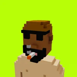 Voxel HoodPunks #854