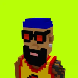 Voxel HoodPunks #922