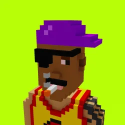 Voxel HoodPunks #888