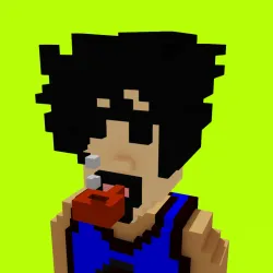 Voxel HoodPunks #989