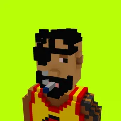 Voxel HoodPunks #249