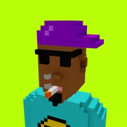 Voxel HoodPunks #912