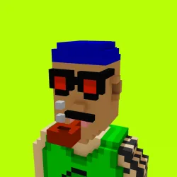 Voxel HoodPunks #983