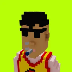 Voxel HoodPunks #890