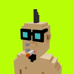 Voxel HoodPunks #963