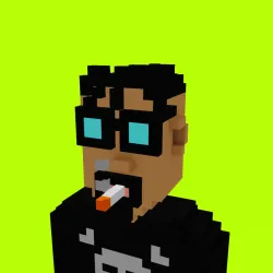 Voxel HoodPunks #783