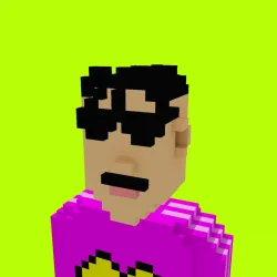 Voxel HoodPunks #843