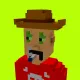 Voxel HoodPunks #458