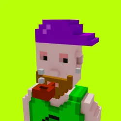 Voxel HoodPunks #885