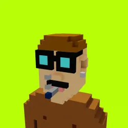 Voxel HoodPunks #884