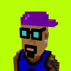 Voxel HoodPunks #893