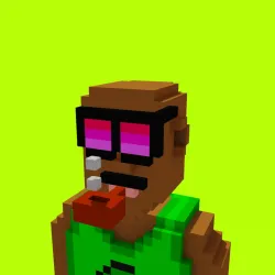 Voxel HoodPunks #844