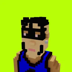 Voxel HoodPunks #862