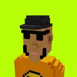 Voxel HoodPunks #969