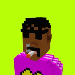 Voxel HoodPunks #810