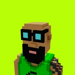 Voxel HoodPunks #841