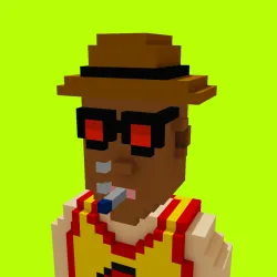 Voxel HoodPunks #914
