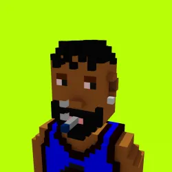 Voxel HoodPunks #872