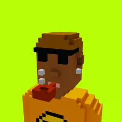 Voxel HoodPunks #519