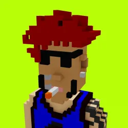 Voxel HoodPunks #879