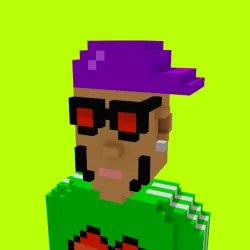 Voxel HoodPunks #875