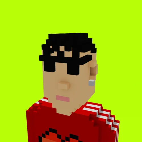 Voxel HoodPunks #571