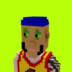 Voxel HoodPunks #903
