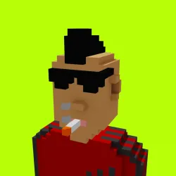 Voxel HoodPunks #887