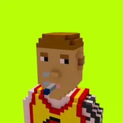 Voxel HoodPunks #852