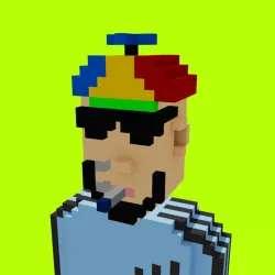 Voxel HoodPunks #56