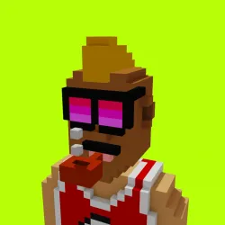Voxel HoodPunks #801