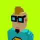 Voxel HoodPunks #376