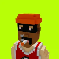 Voxel HoodPunks #833