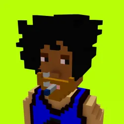 Voxel HoodPunks #895