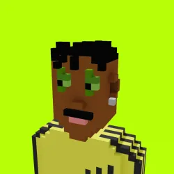 Voxel HoodPunks #919