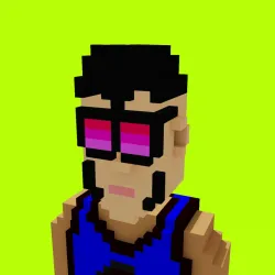 Voxel HoodPunks #485