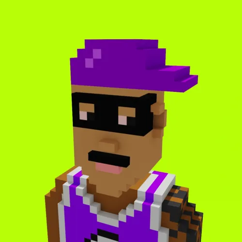 Voxel HoodPunks #1027