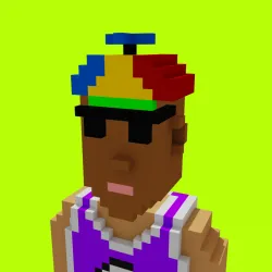 Voxel HoodPunks #163