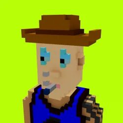 Voxel HoodPunks #956