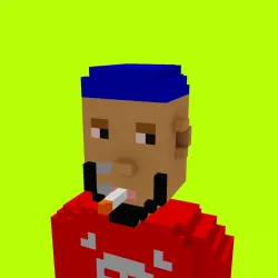 Voxel HoodPunks #882