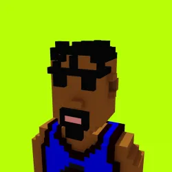 Voxel HoodPunks #838